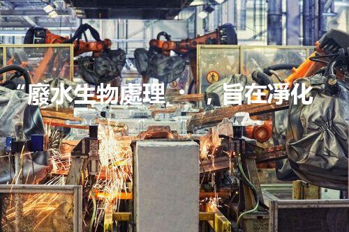 “廢水生物處理，旨在凈化水源，守護(hù)碧水藍(lán)天”